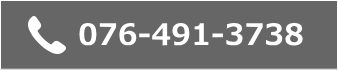 076-491-3738