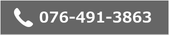 076-491-3863